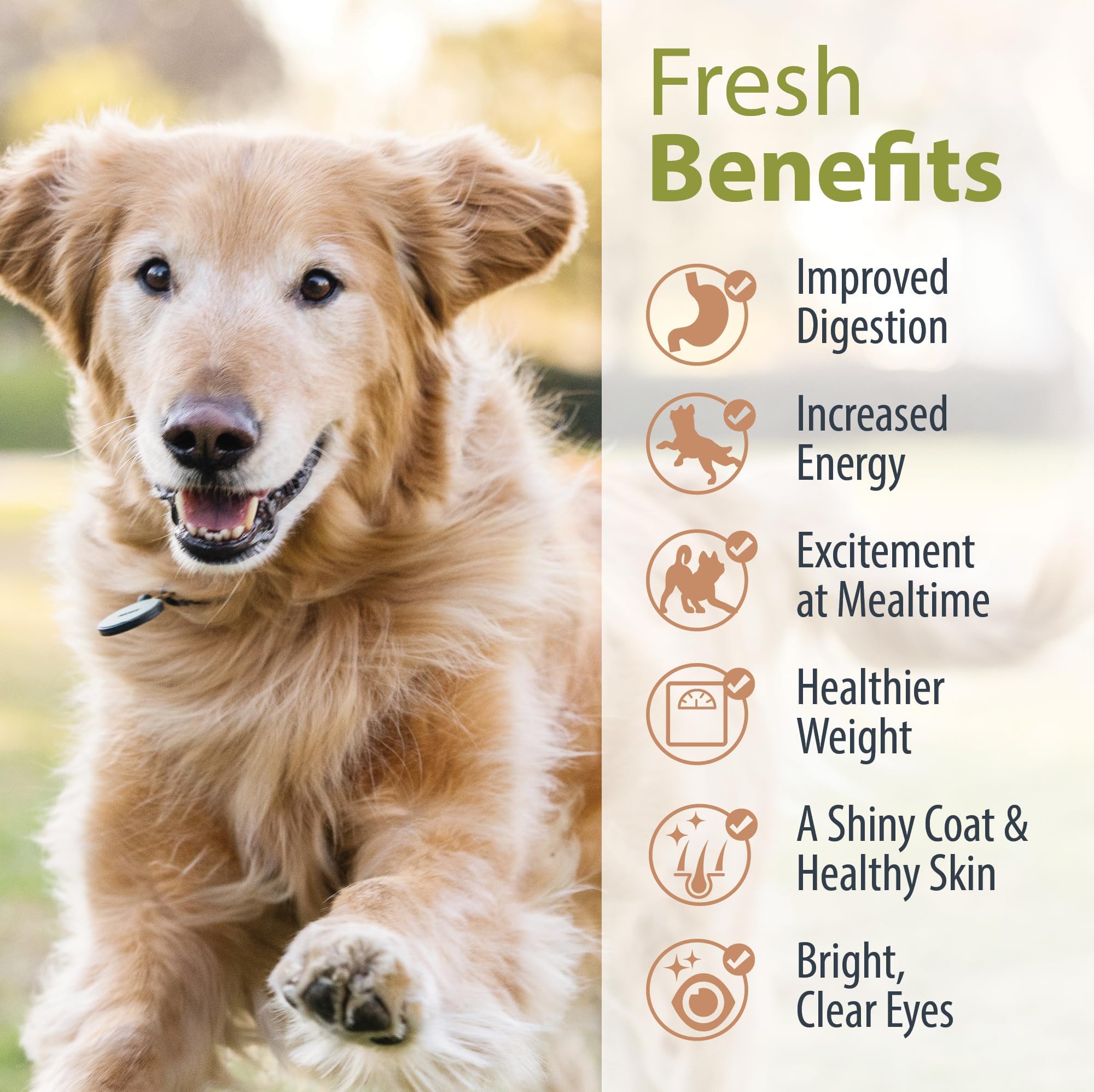 JustFoodForDogs Recetas DIY para perros: opciones para distintos tamaños y necesidades.