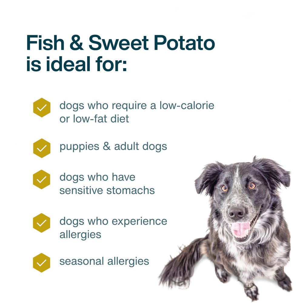 JustFoodForDogs-servir-en-plato: textura atractiva para perros.