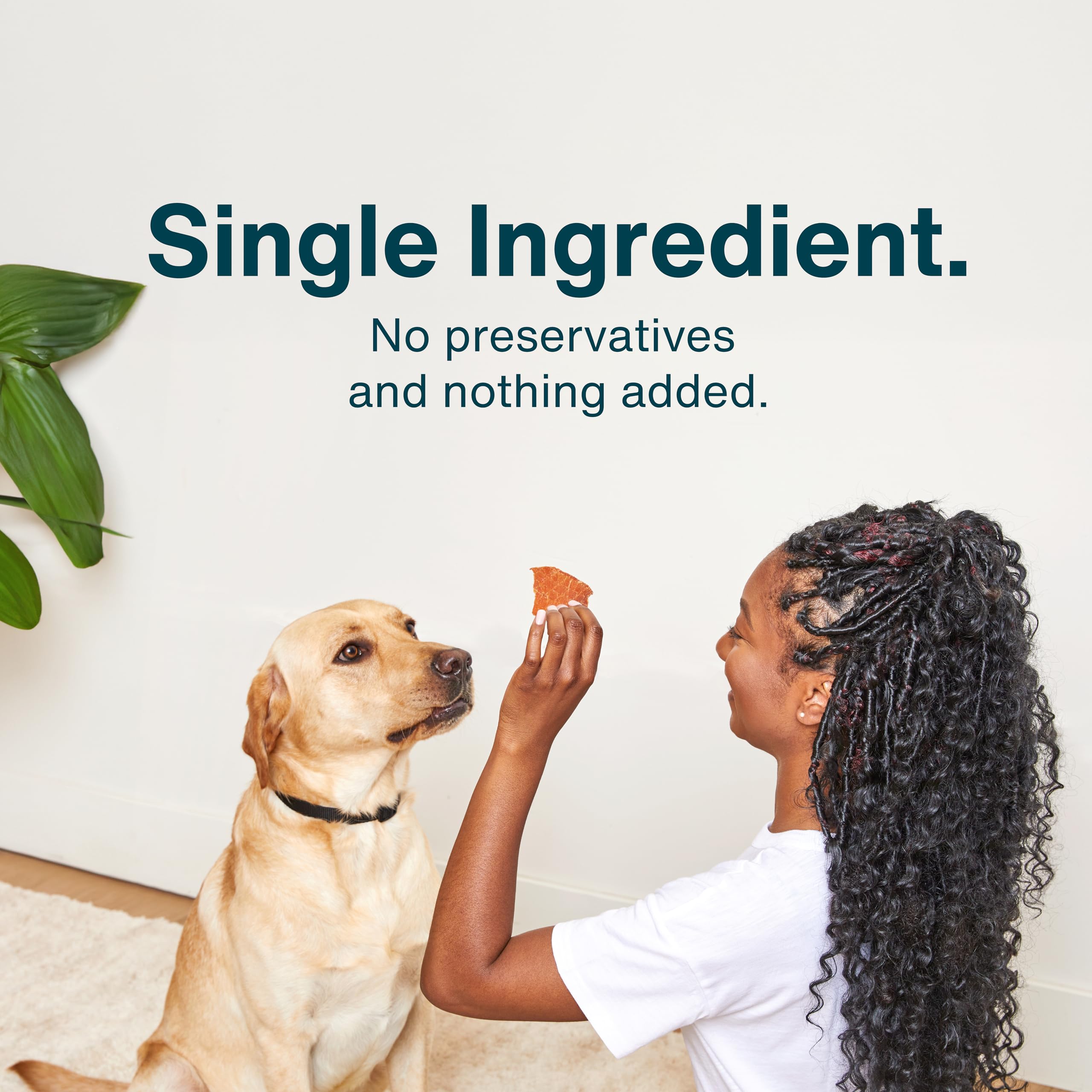 JustFoodForDogs textura semi-crujiente, sabroso snack para perros activos
