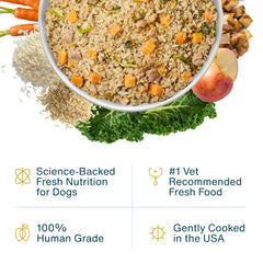 JustFoodForDogs topper pollo-arroz, ideal para estimular el apetito de perros selectos