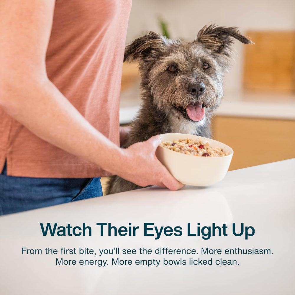 JustFoodForDogs topping sabroso para perros exigentes y aumentar el interés en la comida.