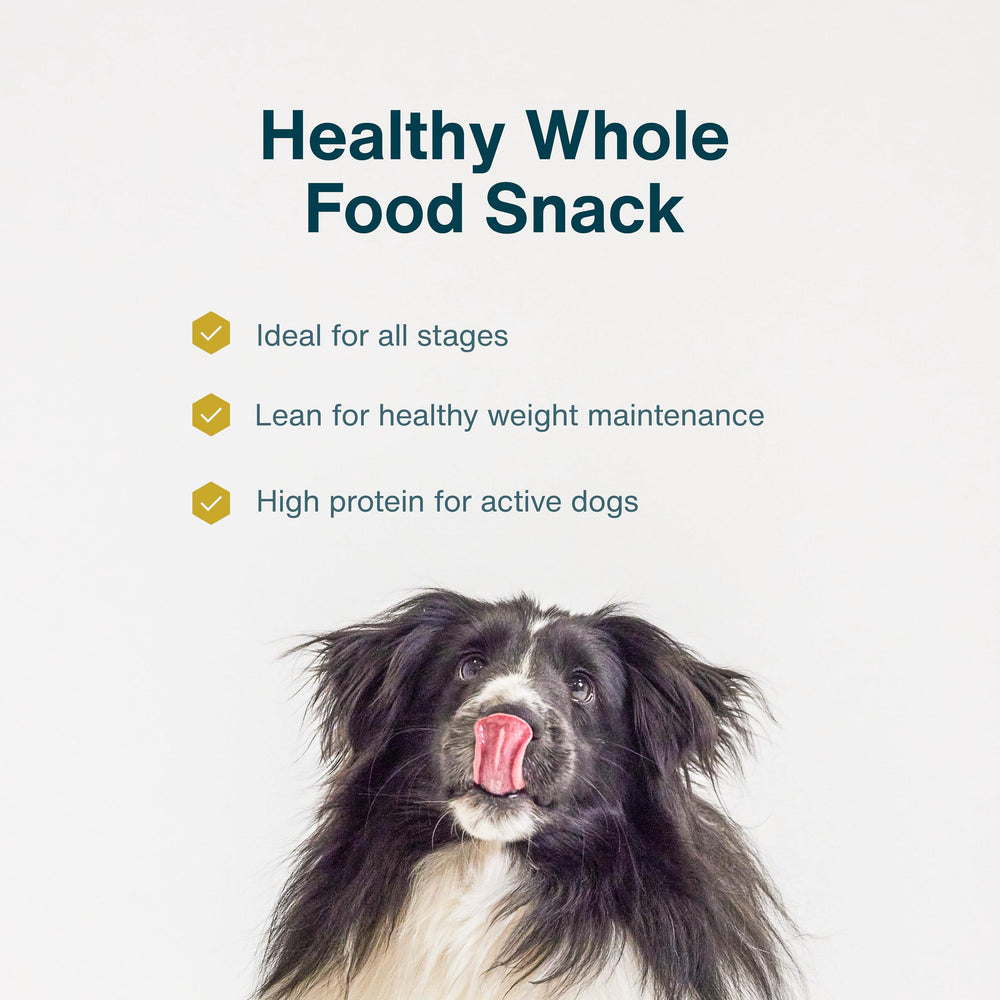 JustFoodForDogs trocitos de venado como premio durante entrenamiento.
