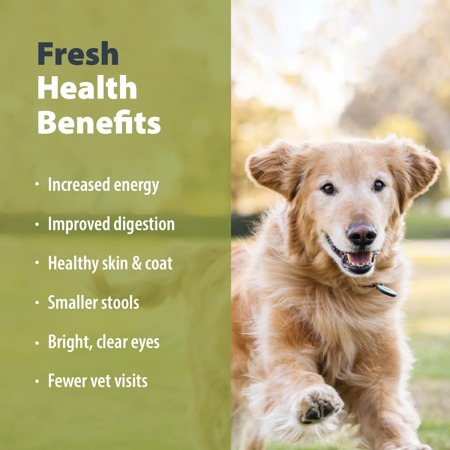 JustFoodForDogs trozos-ternera-papas, trozos jugosos para perros activos.