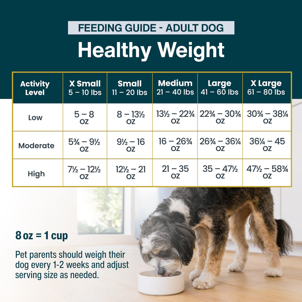 JustFoodForDogs uso descongelado: descongelar y servir con facilidad.