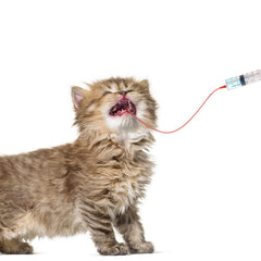 Jeringa Jutom para gatito 20 ml, uso versátil
