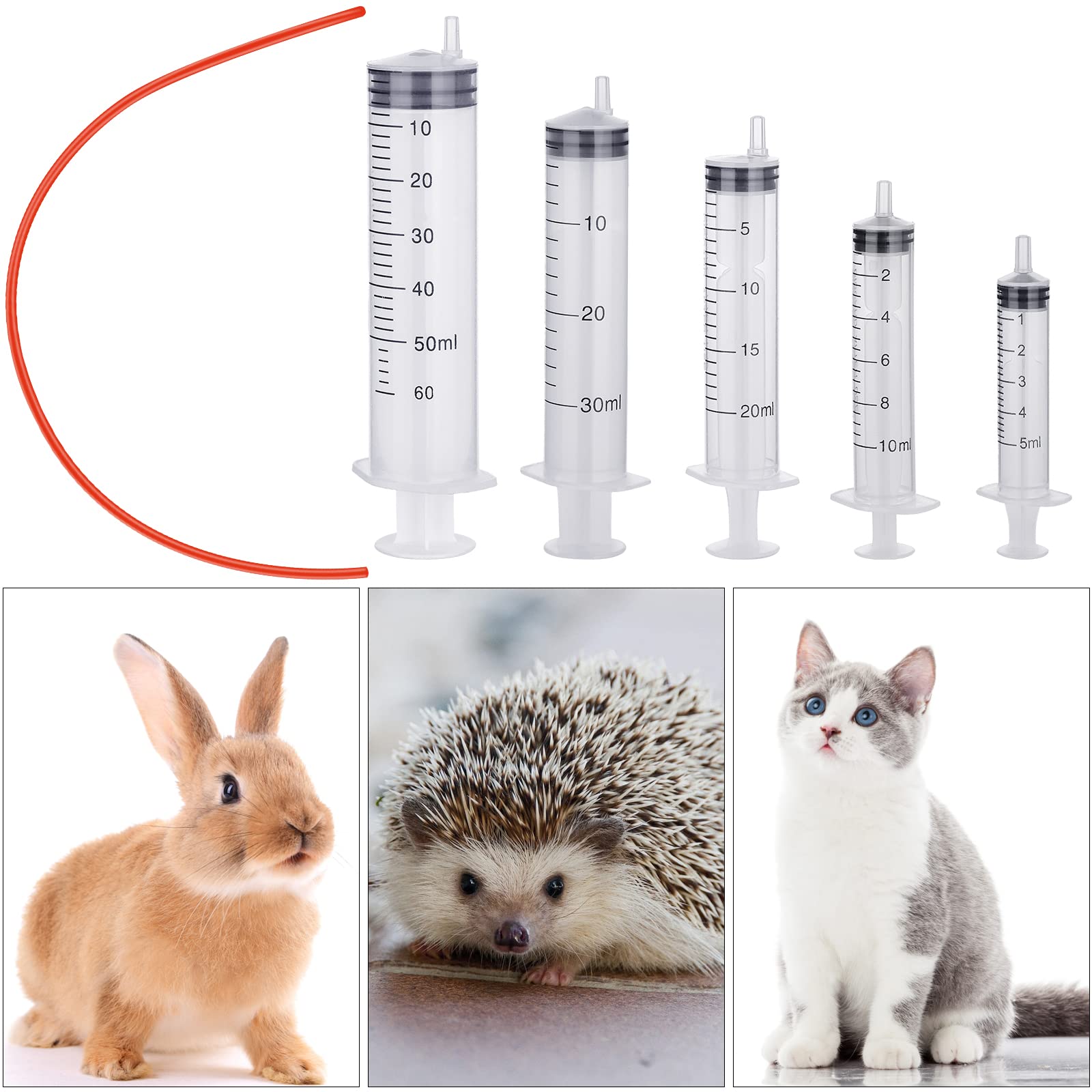 Kit completo de alimentación de Jutom para animales pequeños