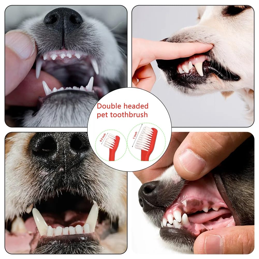 JUWANTU kit 8 piezas para perros y gatos, higiene dental diaria