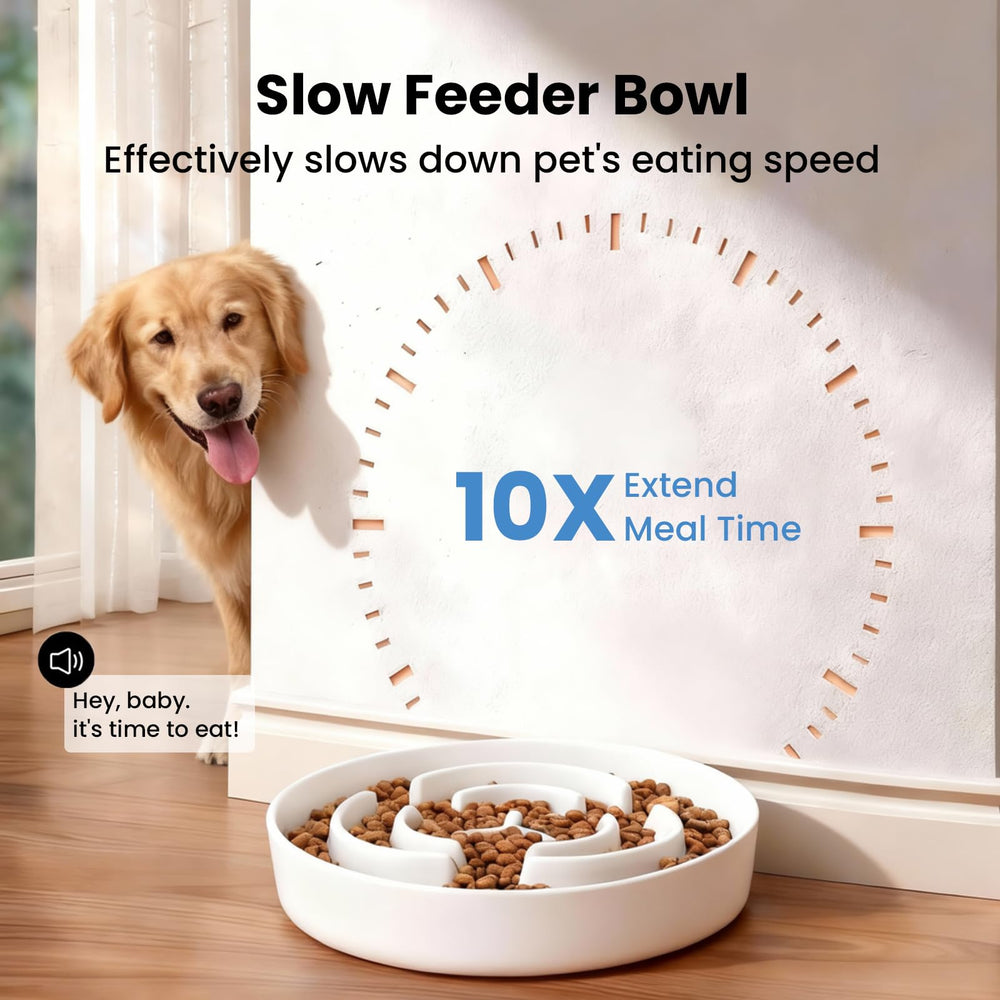 JuWow tazón cerámico estable y resistente para perros activos.