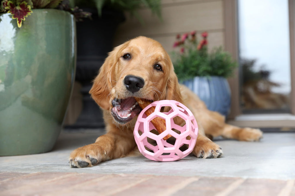 JW Hol-ee Roller, tamaño grande, adecuado para perros medianos y grandes.