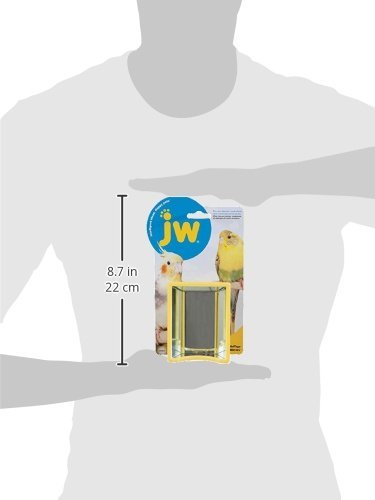 jw salón de espejos: ave interactuando con el espejo estimulante