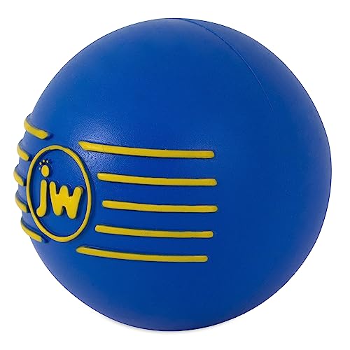 JW Pelota para fortalecer el vínculo durante juegos con tu mascota.