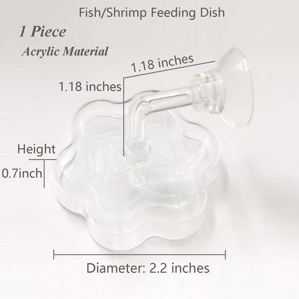 Ventosa de fijación JZMYXA mantiene el plato estable en acuario para alimentaciones limpias.