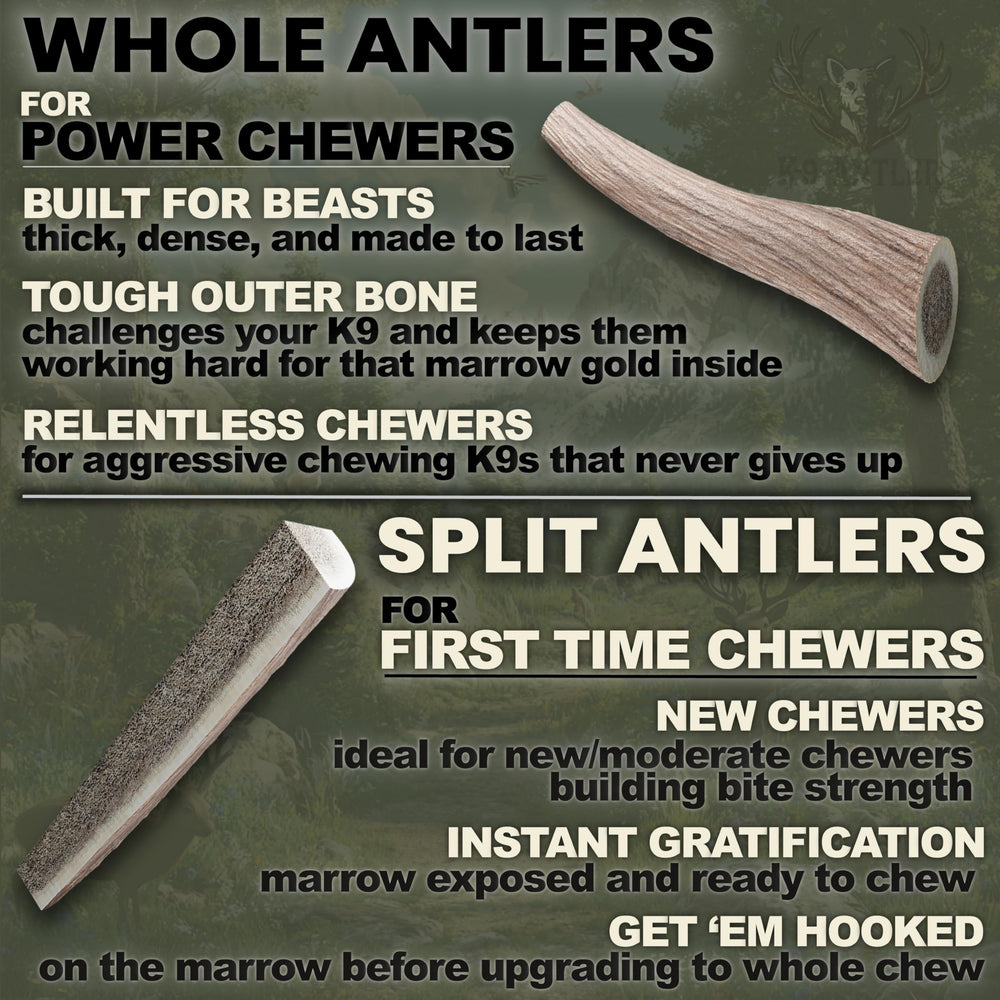 K-9 Antler Co. cuernos-ciervo caídos naturalmente para masticación natural.