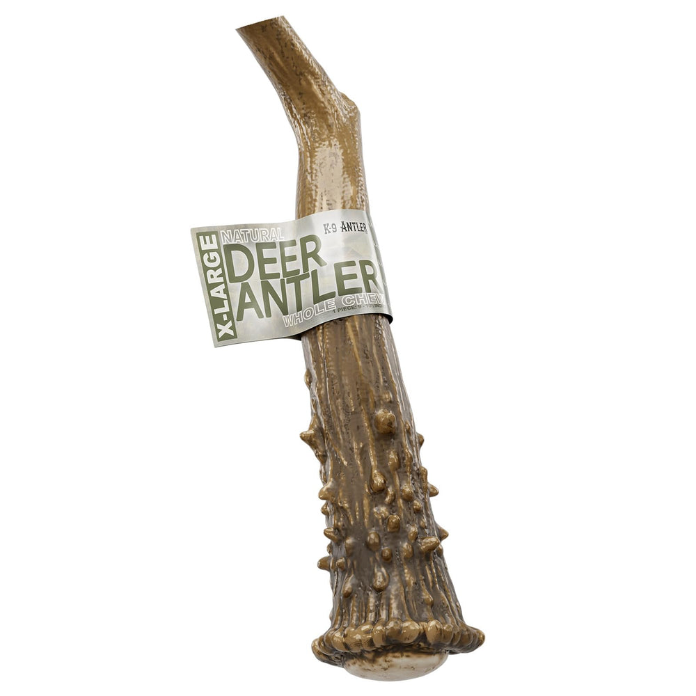 K-9 Antler Co. cuernos-ciervo duraderos para perros agresivos durante juego.