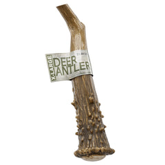 K-9 Antler Co. cuernos-ciervo duraderos para perros agresivos durante juego.