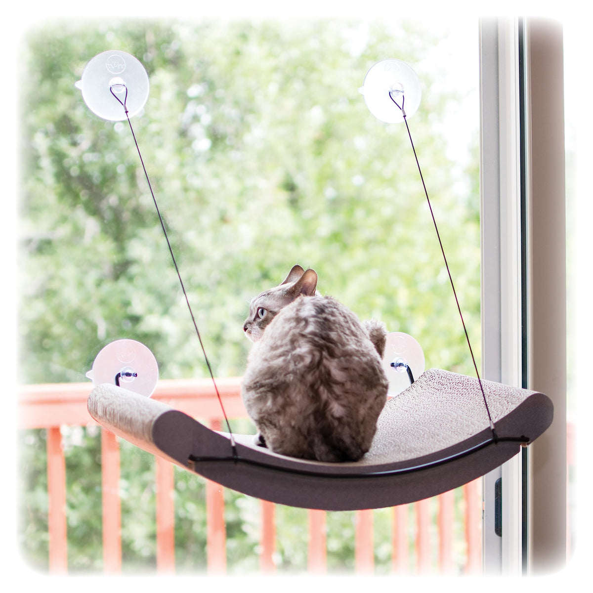 K&H EZ Mount Percha para Gatos en ventana, descanso al sol