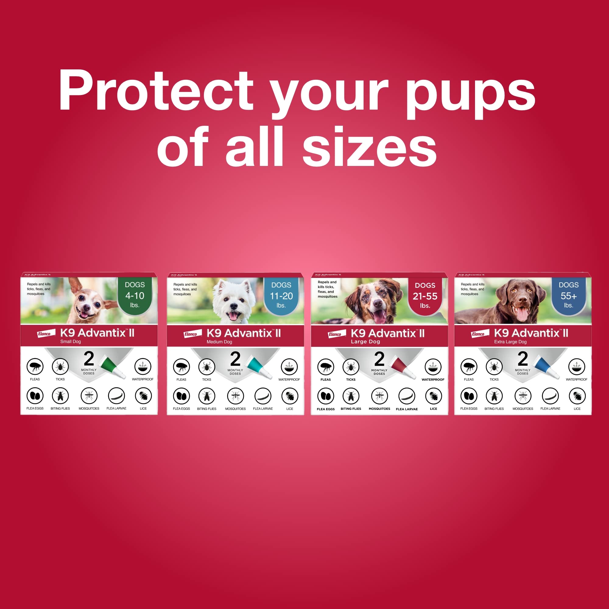 Pack de 2-6 dosis para conveniencia mensual