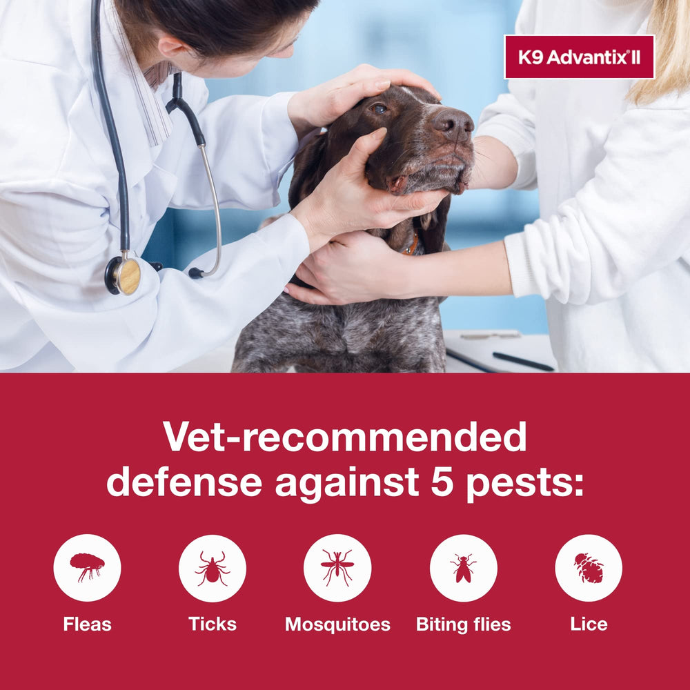 K9 Advantix II XL pack de 2 dosis para conveniencia