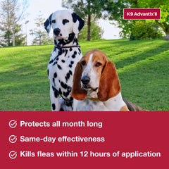 K9 Advantix II XL pack de 6 dosis para cuidado mensual