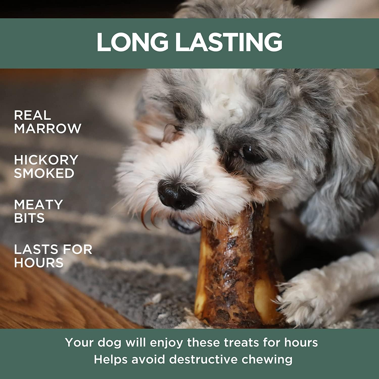 K9 Connoisseur hueso-largo-perros, adecuado para perros pequeños y medianos.