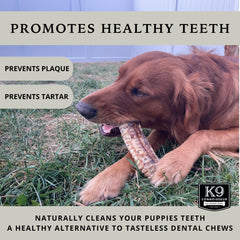 K9 Connoisseur tráquea sin conservantes, opción natural para premios.
