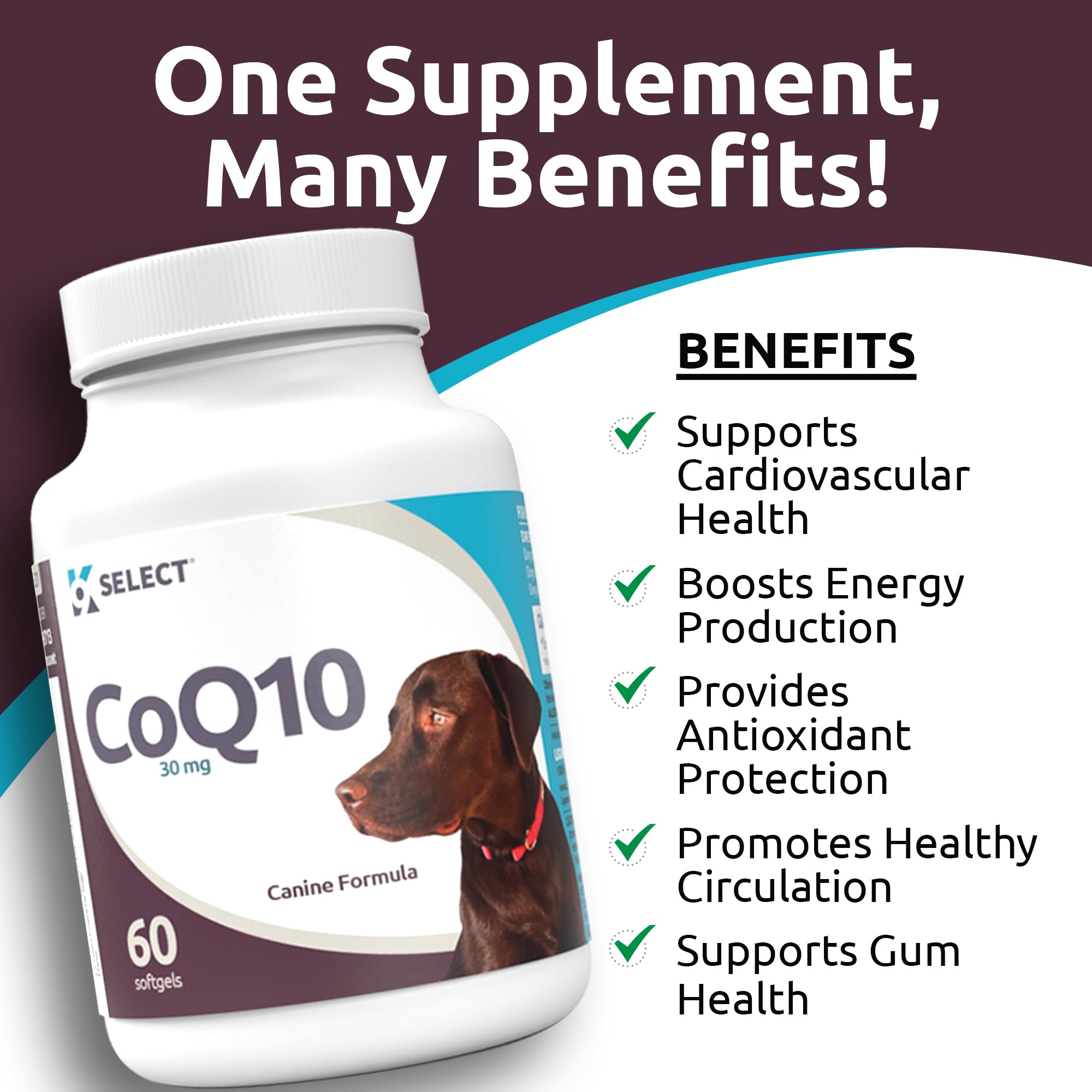 K9 Select CoQ10: antioxidantes para perros y soporte general.