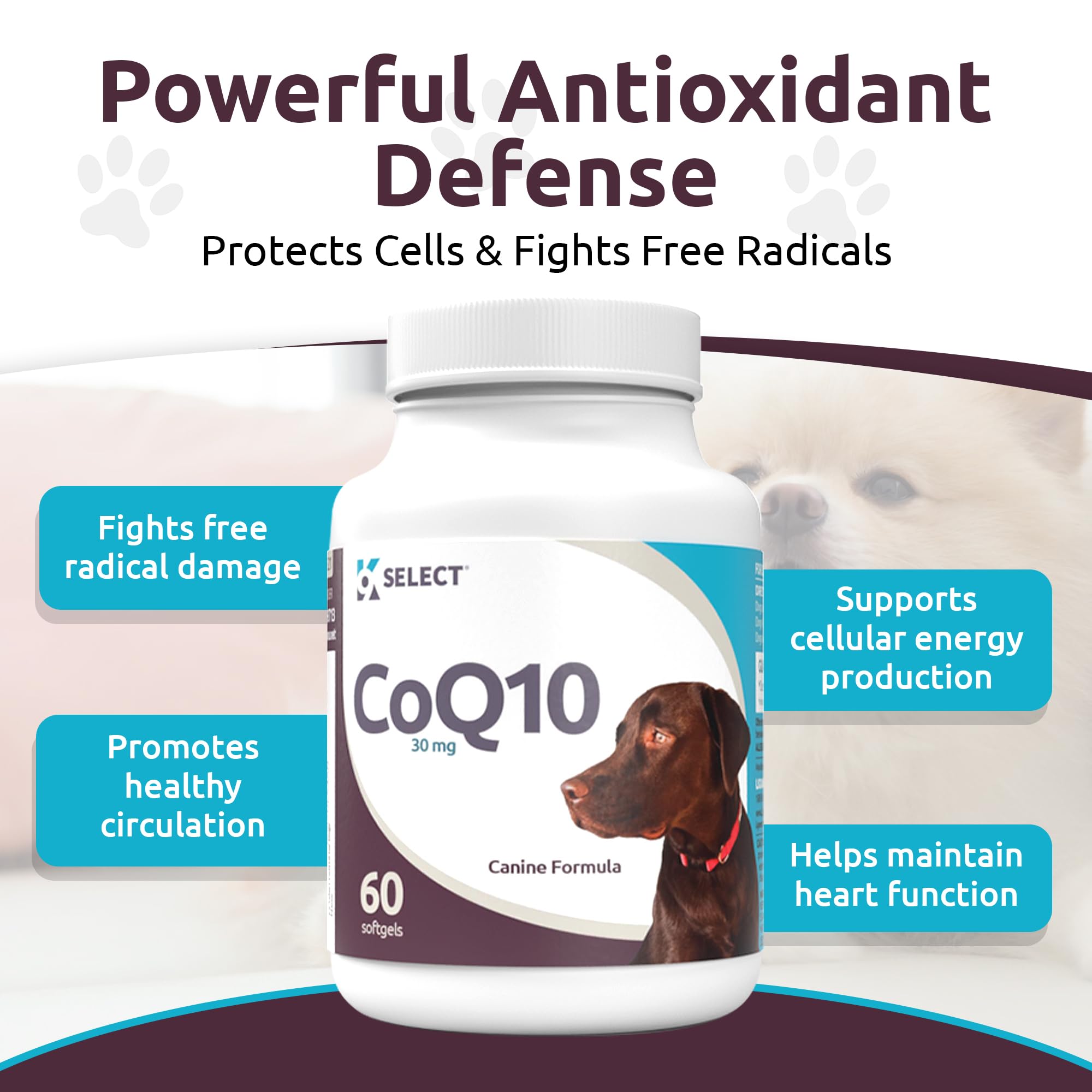 K9 Select CoQ10: cuidado de las encías y salud bucal canina.