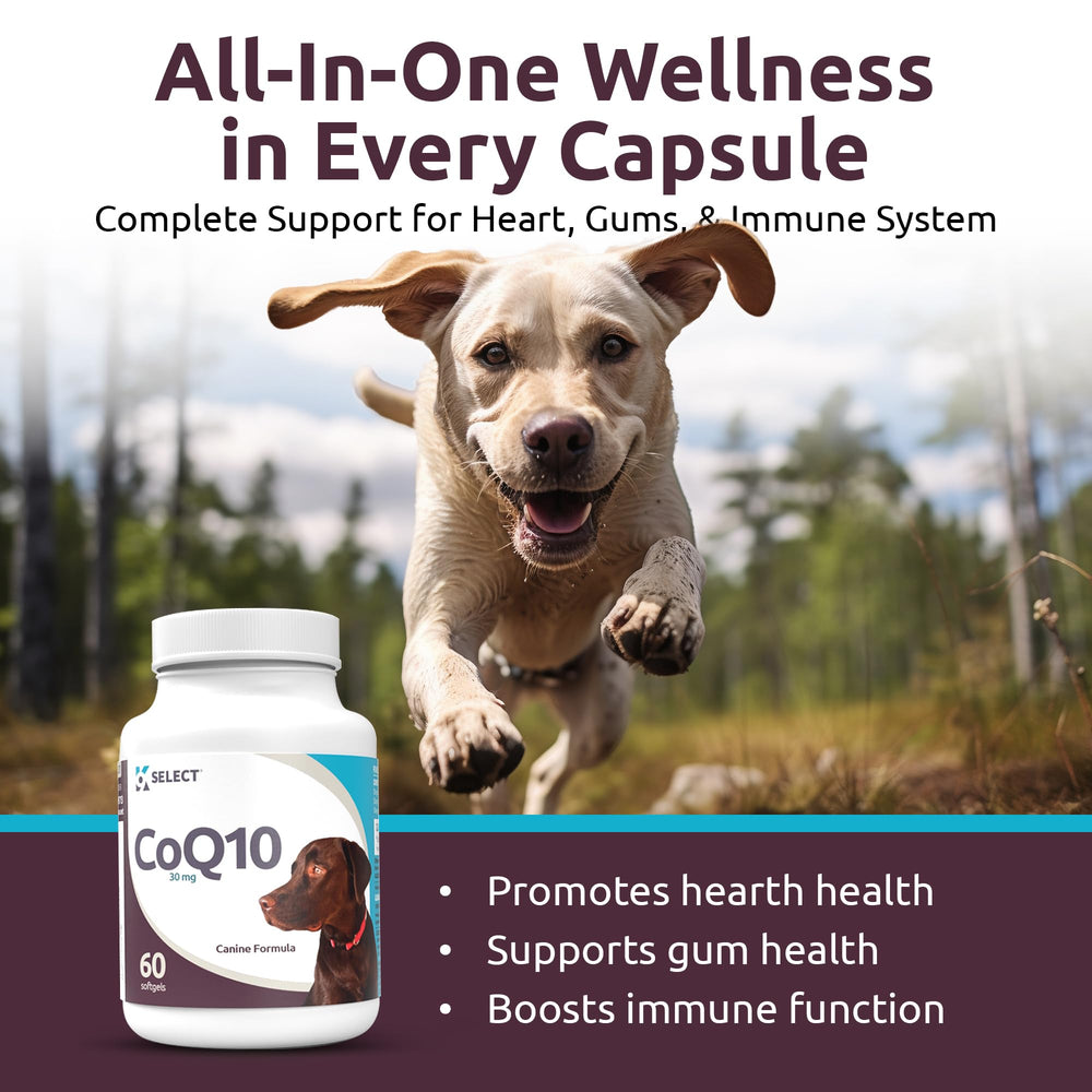 K9 Select CoQ10: cápsulas blandas para perros, impulso de energía.