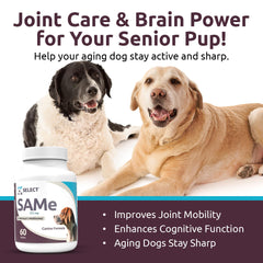 K9 Select SAM-e con recubrimiento entérico para absorción óptima.