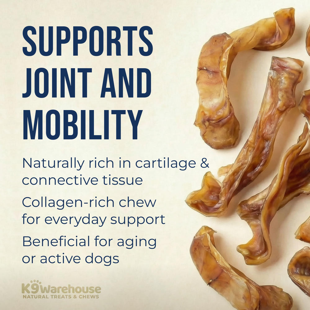 K9warehouse: oreja de puerco digestible, opción natural para perros de todas las tallas