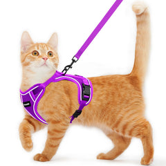 Arnés Kaazylab para gato a prueba de escape, seguridad en paseos