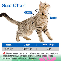 Kaazylab collar de gato coordinado para familiarizar al gato con el equipo en casa.