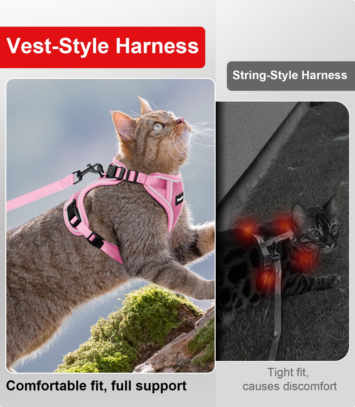 Correa Kaazylab para gatos, diseño ligero para paseos diarios.