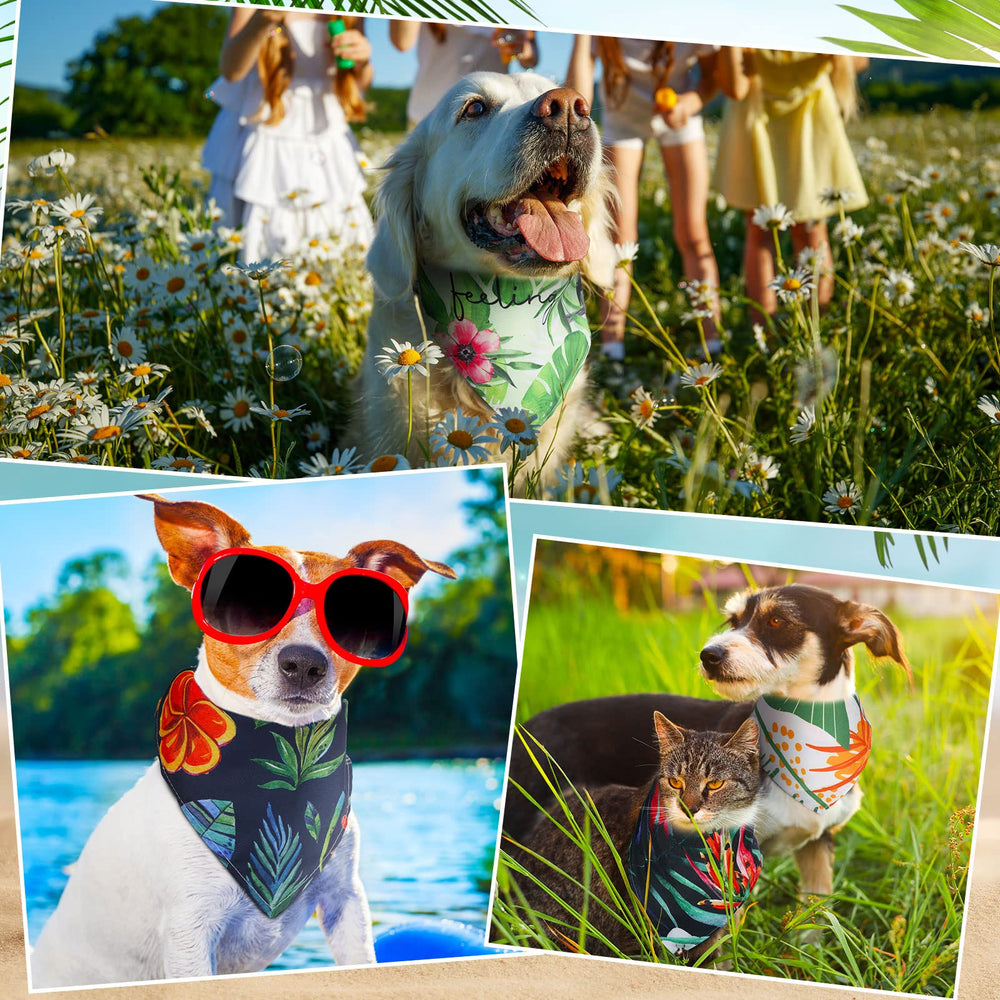 Kacctyen bandanas regalo dueños perros: regalo perfecto para dueños de mascotas.