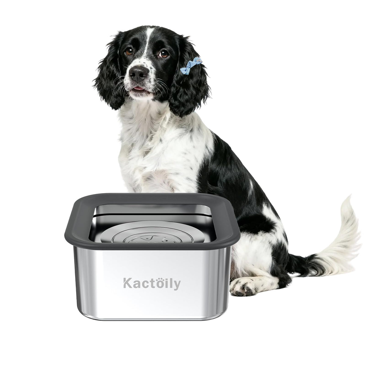 El cuenco Kactoily para perros de tres litros evita derrames y facilita la hidratación diaria.