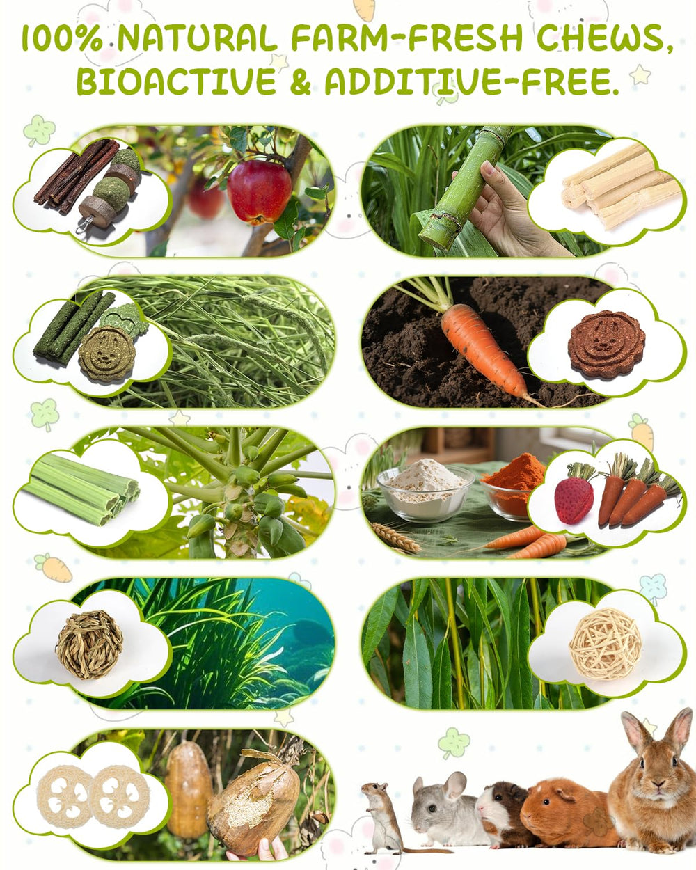 Kagoty palitos de madera de manzana – favorecen la masticación saludable.