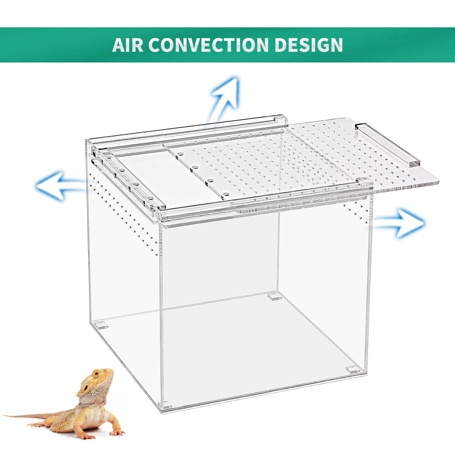 KAKOOTI Terrario reptil, puerta deslizante magnética facilita limpieza y alimentación.