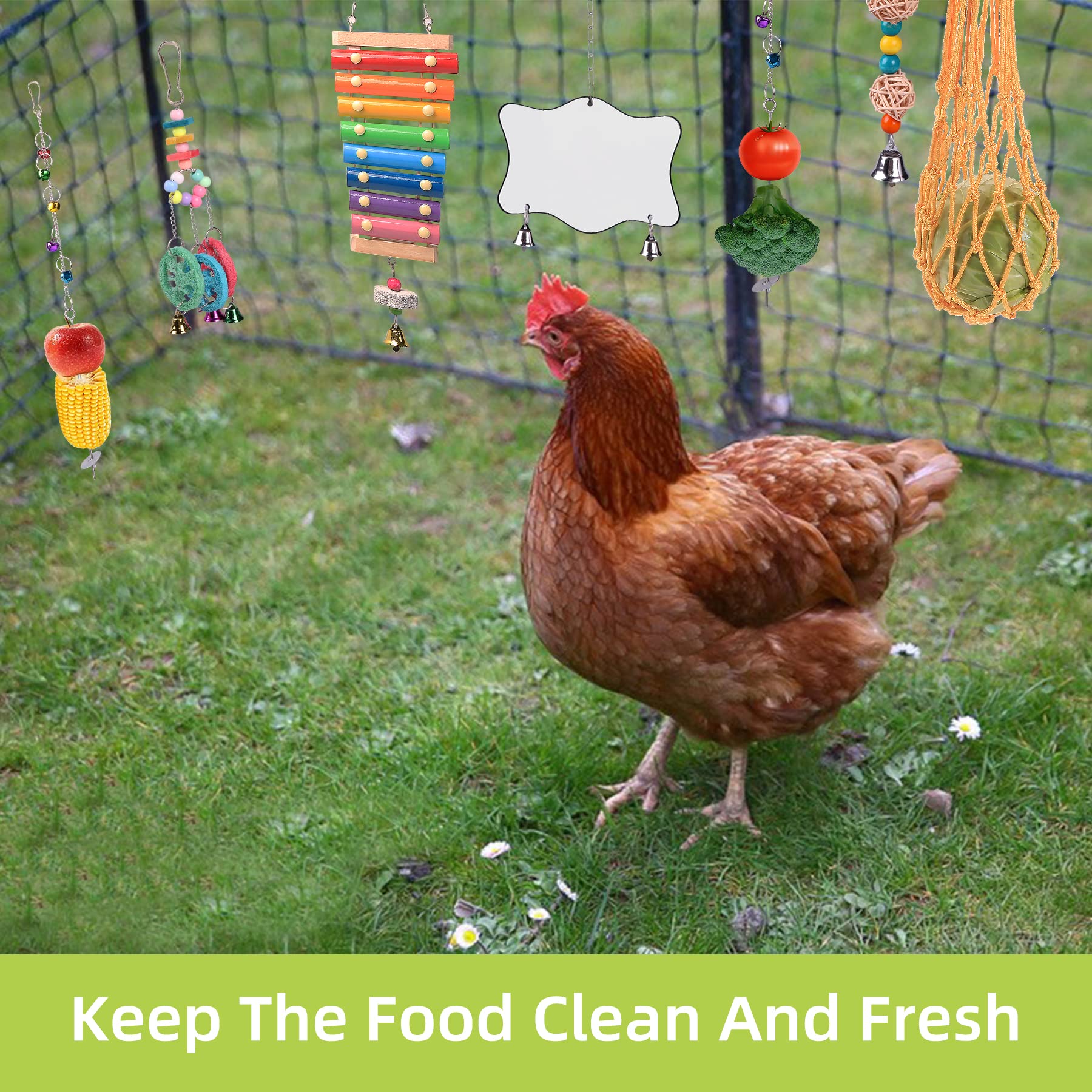 KAKUNM espejo para gallinas: interacción y curiosidad en el coop.