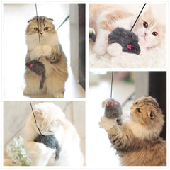 Kalimdor juguete interactivo para gatos en actividad