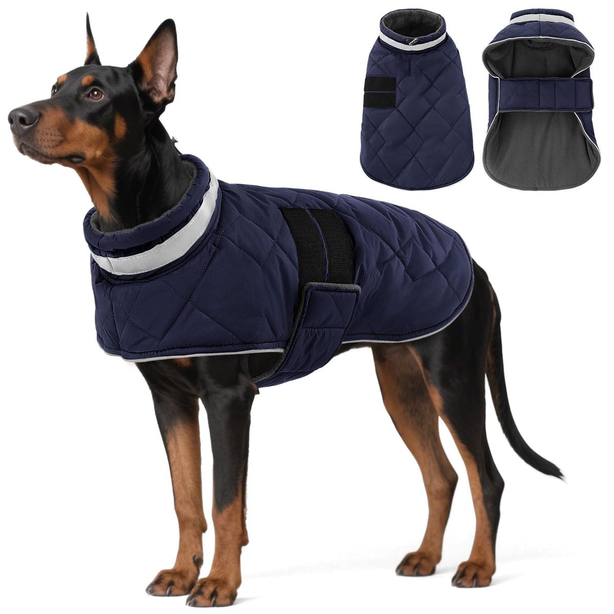 KAMA BRIDAL chamarra invierno perro, frente visible, abrigo cálido para paseos