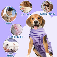 Traje de recuperación Karoku para abdomen, protege zona quirúrgica durante la recuperación.