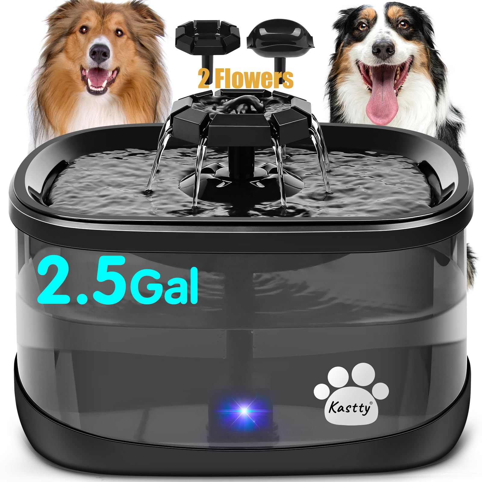 Kastty bebederos de gran capacidad para perros, perfecto para hogares con varias mascotas.