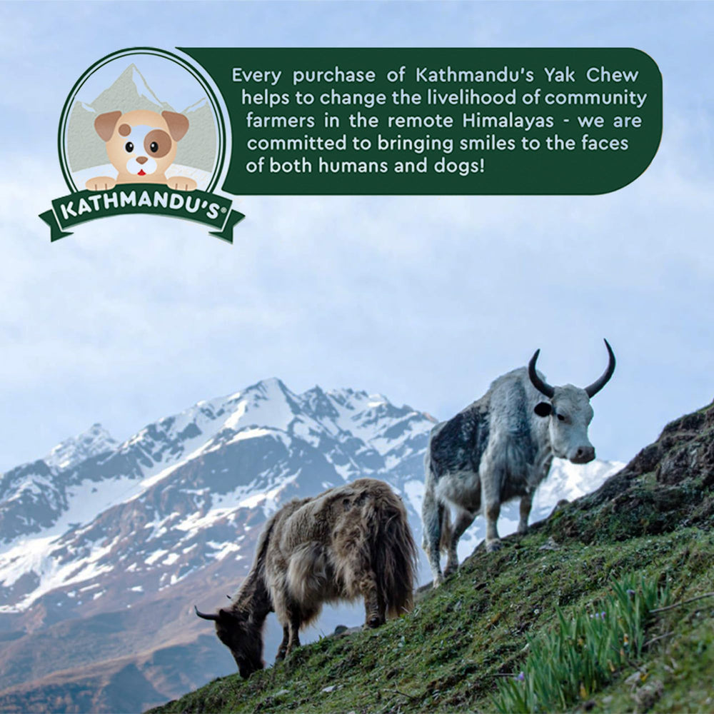 KATHMANDU'S yak chew regalo navideño, opción perfecta para fiestas