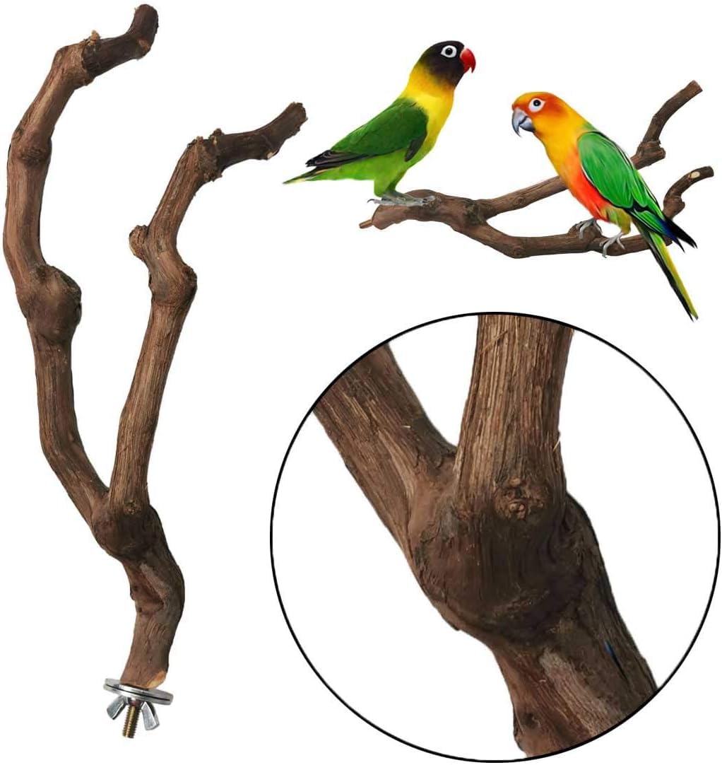 kathson accesorio de jaula para aves, diseño estable y adaptable.