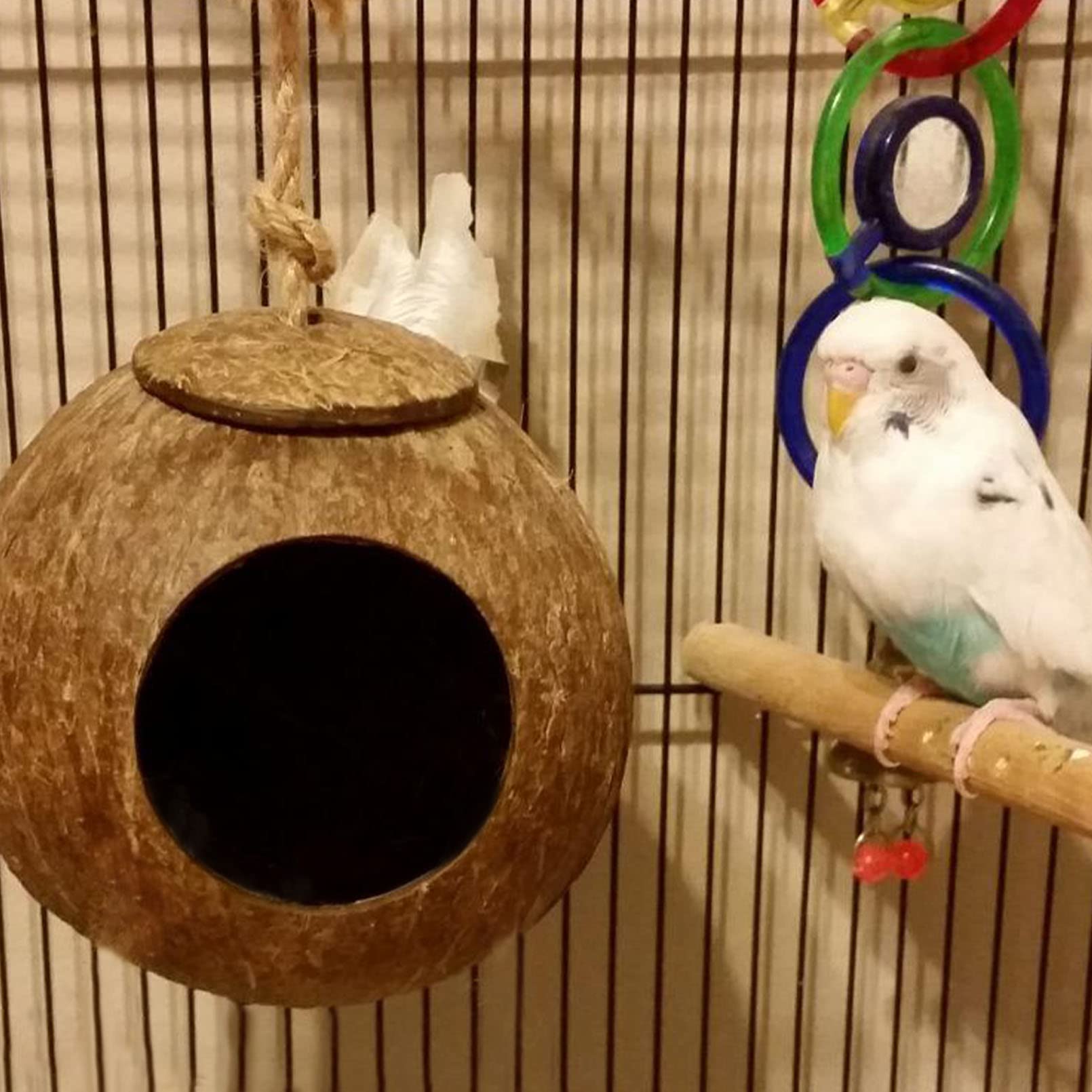 Kathson accesorios de jaula para aves: juguetes y cuencos