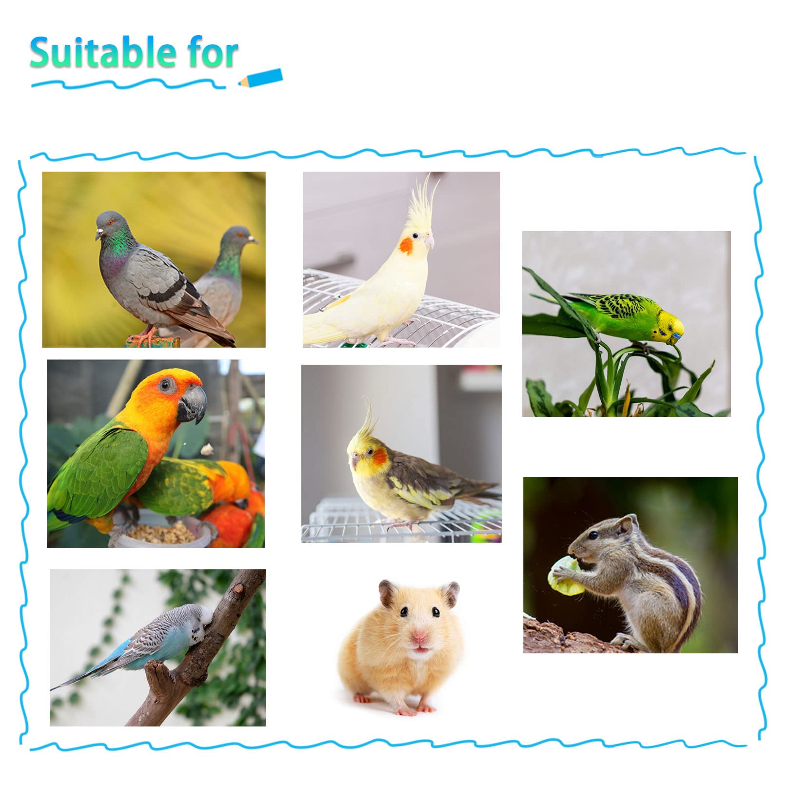 Kathson conjunto de accesorios para jaula de aves, mejora la rutina diaria