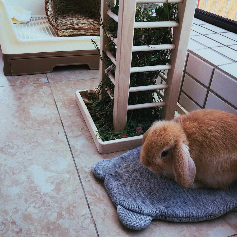 Montaje y limpieza fáciles Kathson, accesorio práctico para mascotas
