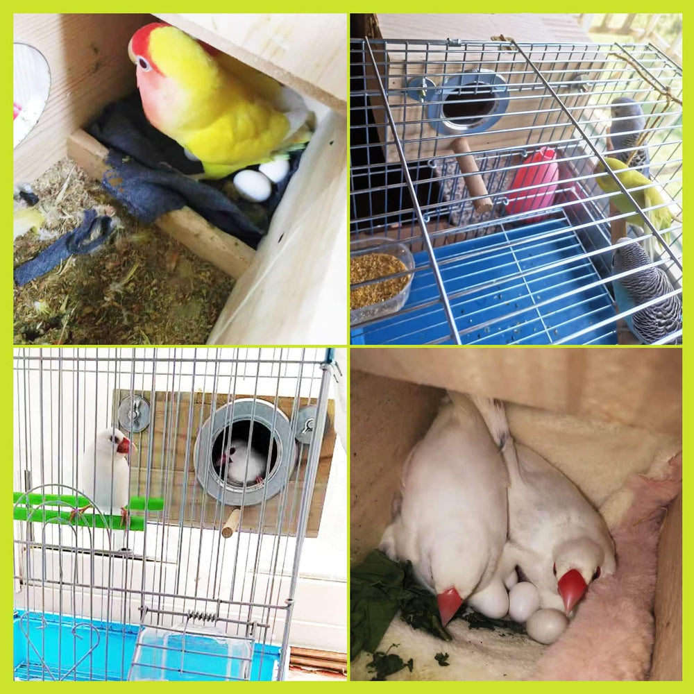 Tamaño compacto kathson apto para aves pequeñas y medianas.