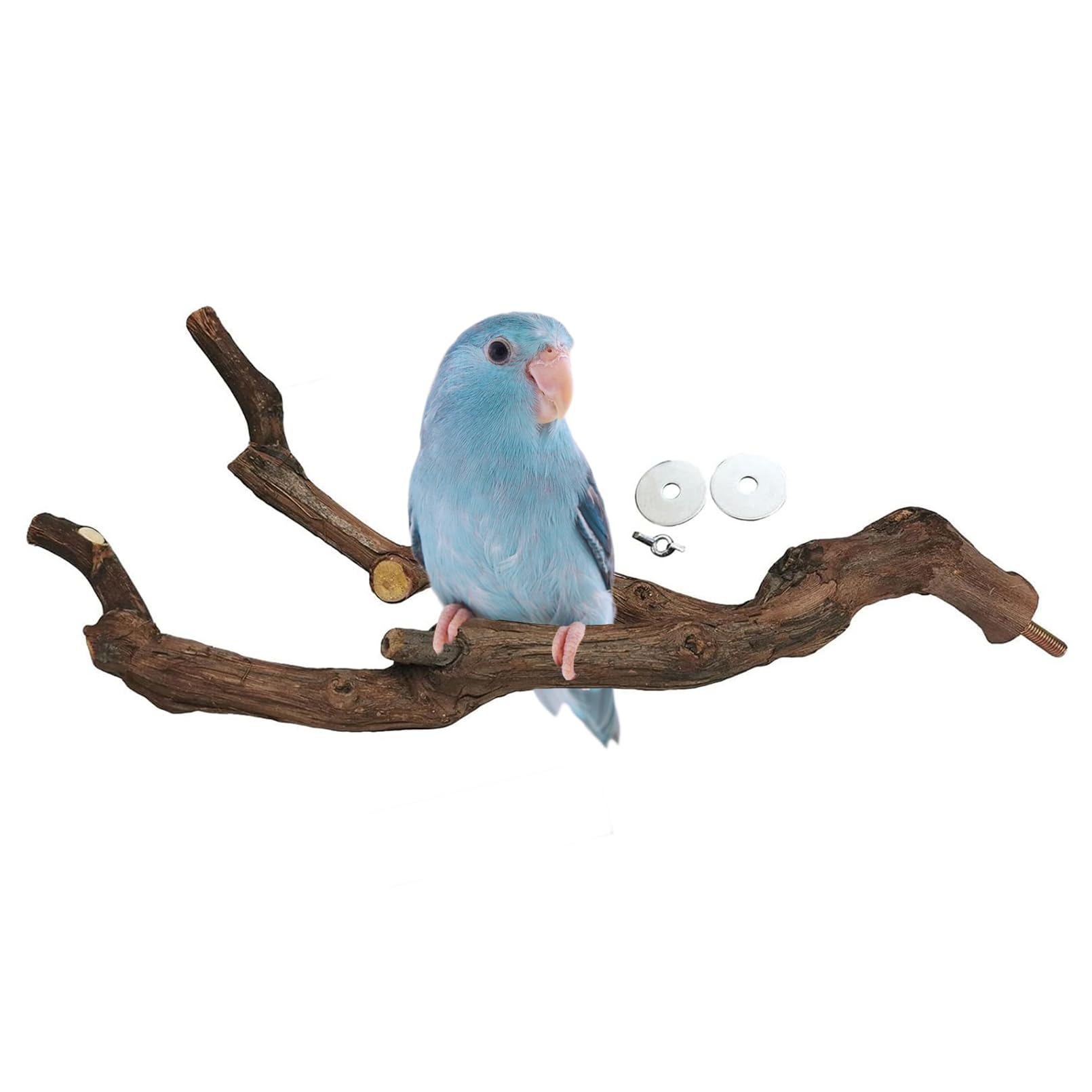 kathson percha natural de uva para loro, agarre seguro y estimulante para las patas.