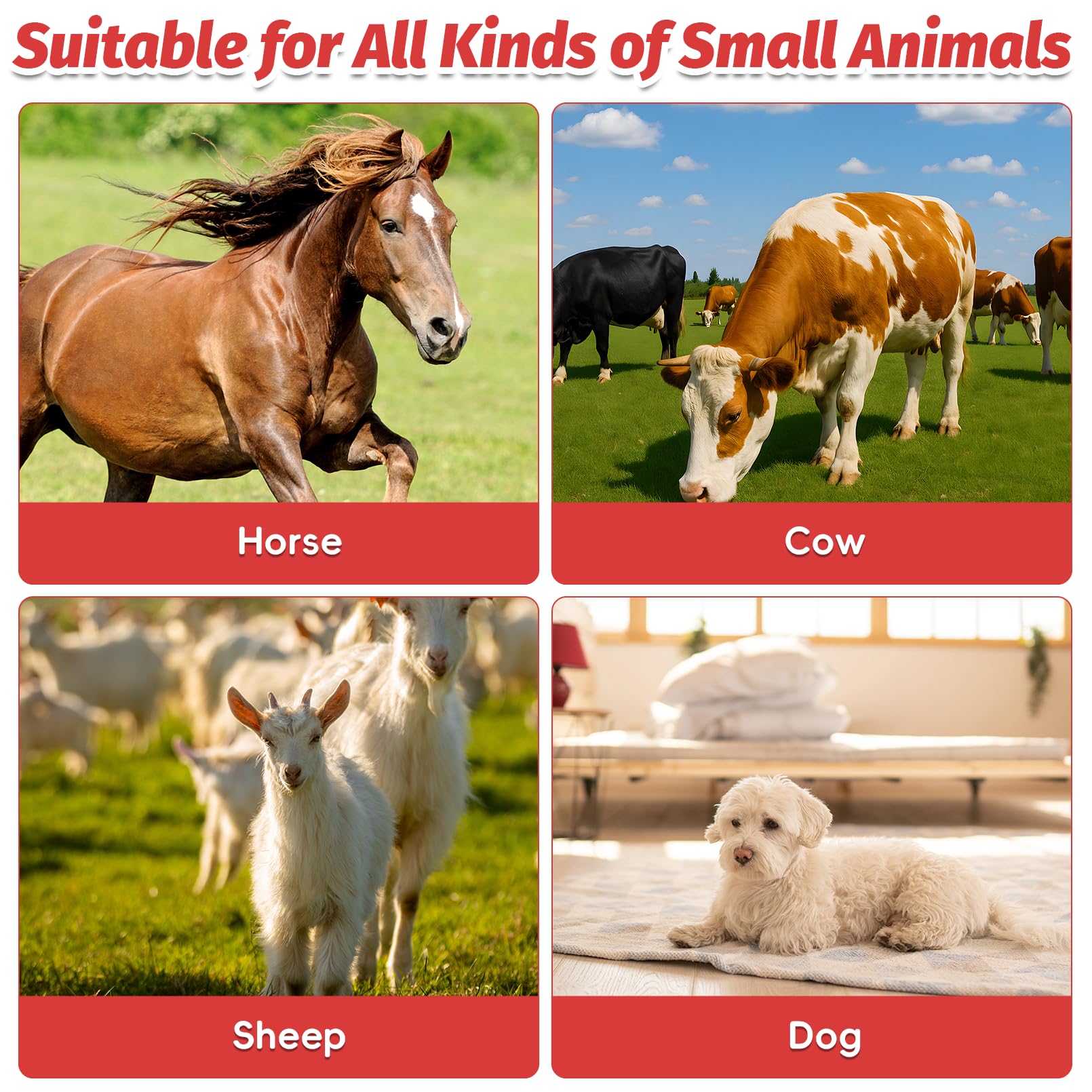 Kathson uso doméstico para perros y otros animales.